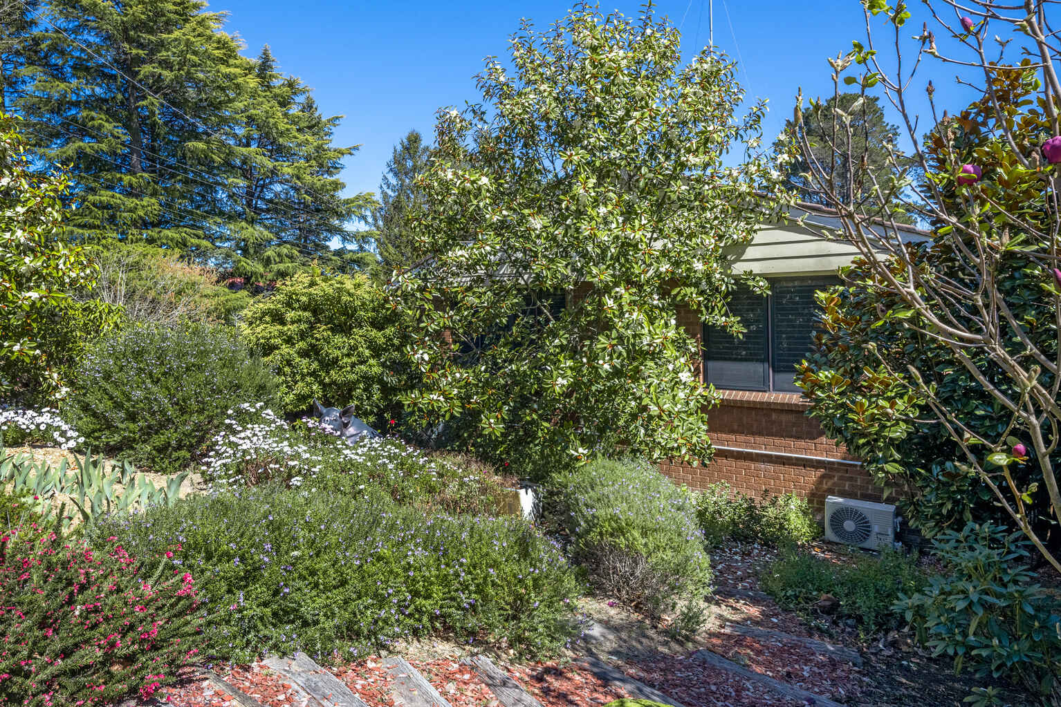 8 Waragil Street Blackheath