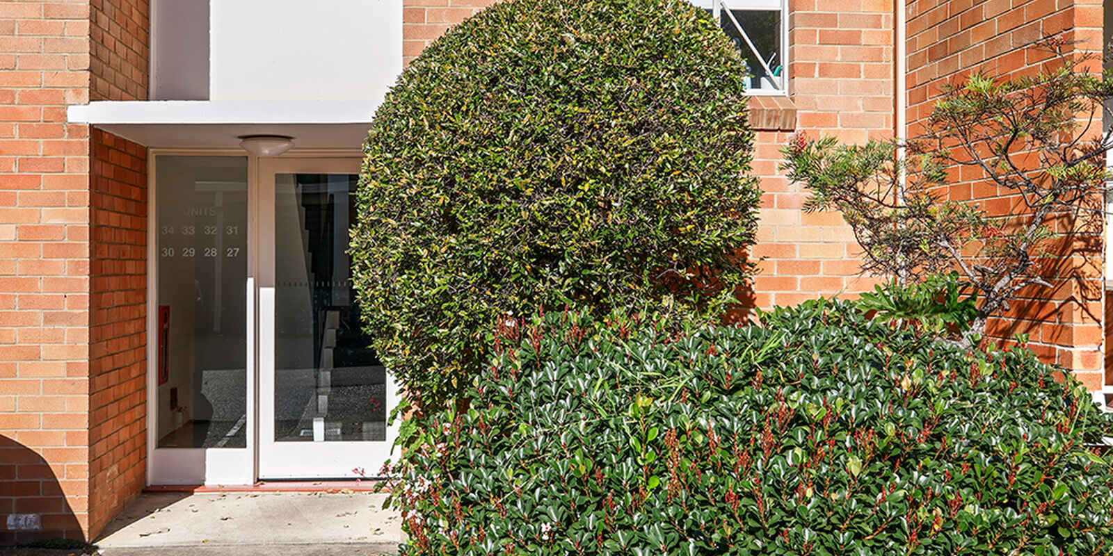 30/22 Ness Avenue Dulwich Hill