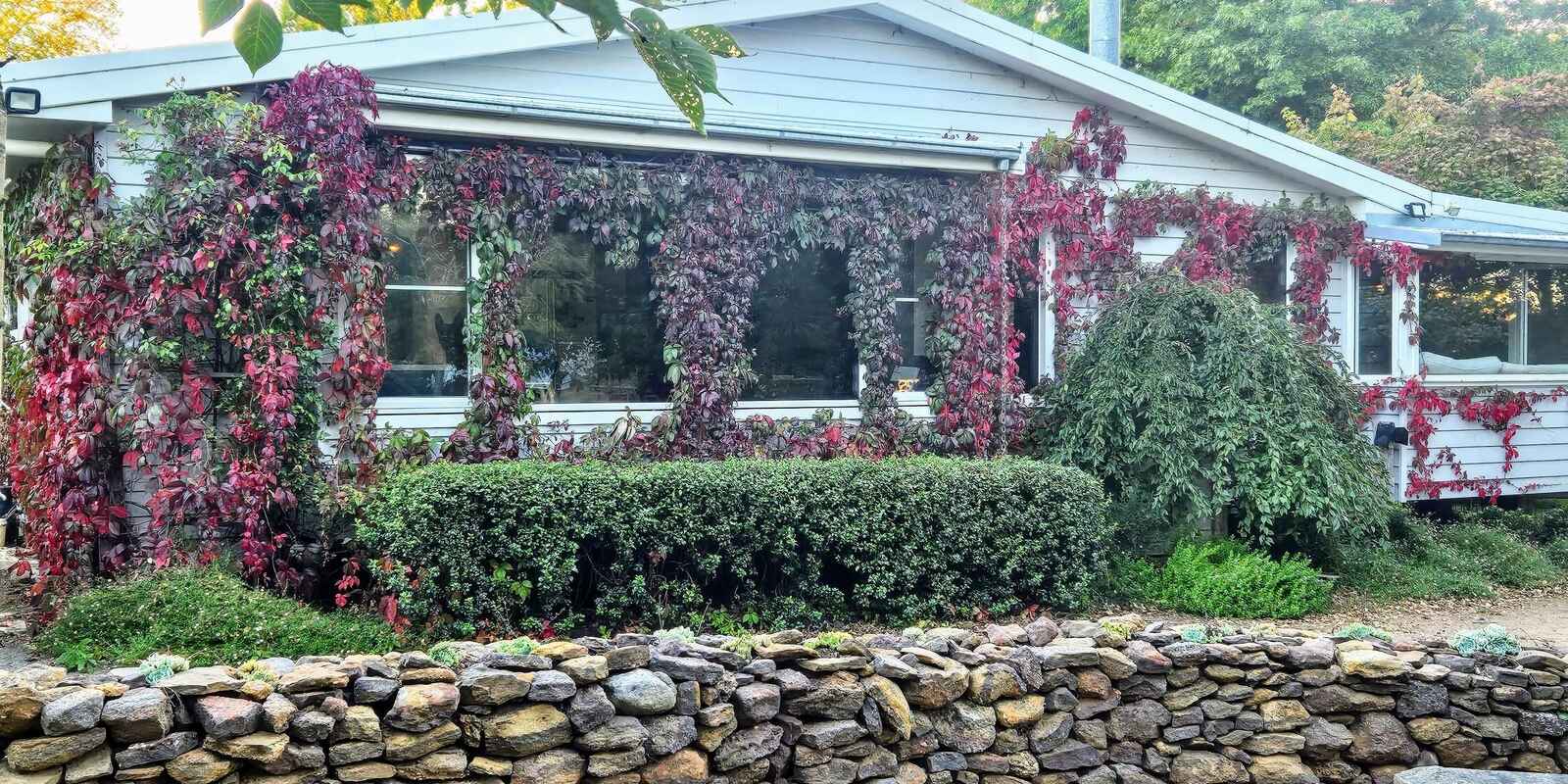'Winter Hill' 2233 Canyonleigh Road Canyonleigh