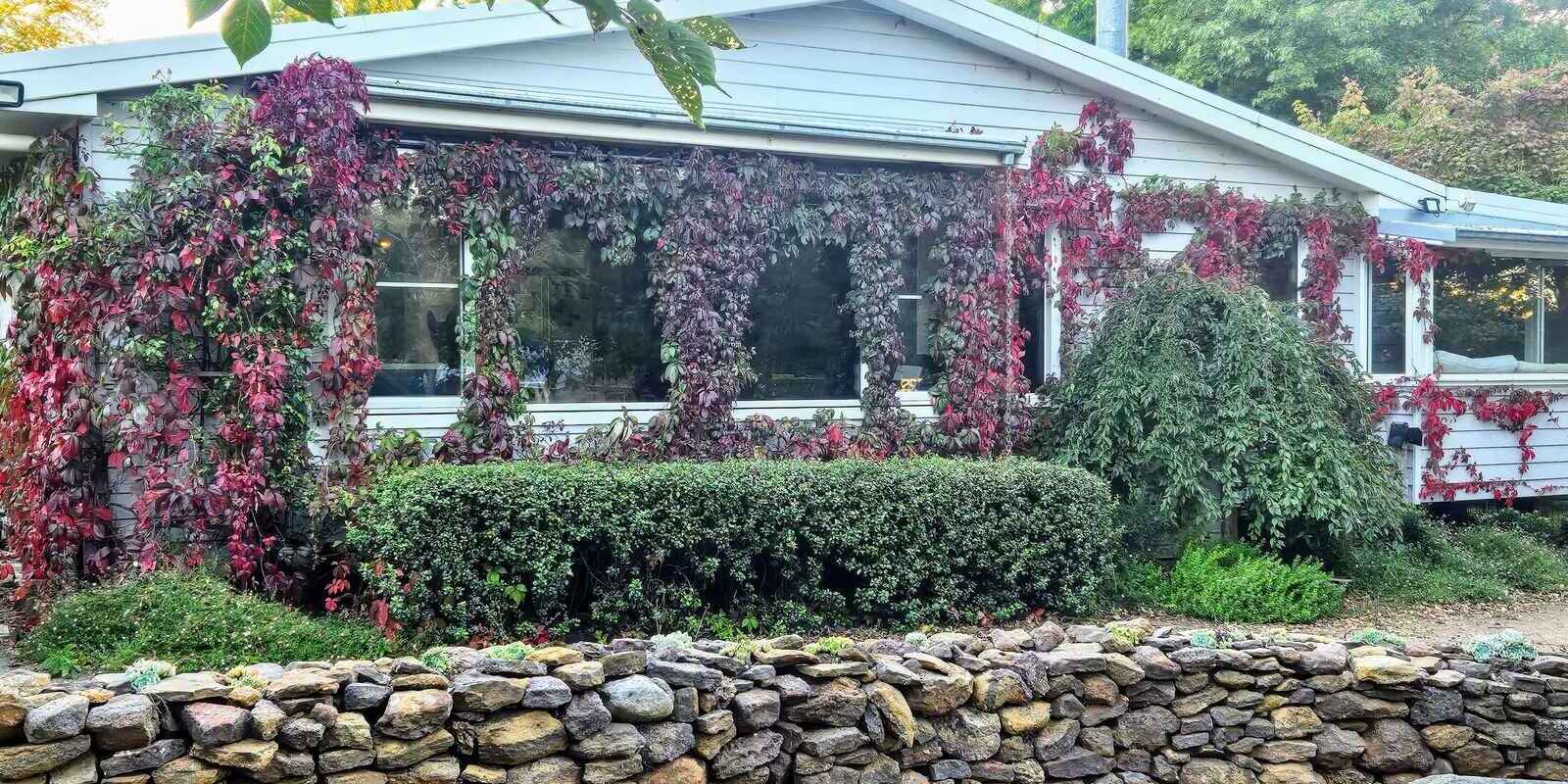 'Winter Hill' 2233 Canyonleigh Road Canyonleigh 'Winter Hill' 2233 Canyonleigh Road Canyonleigh