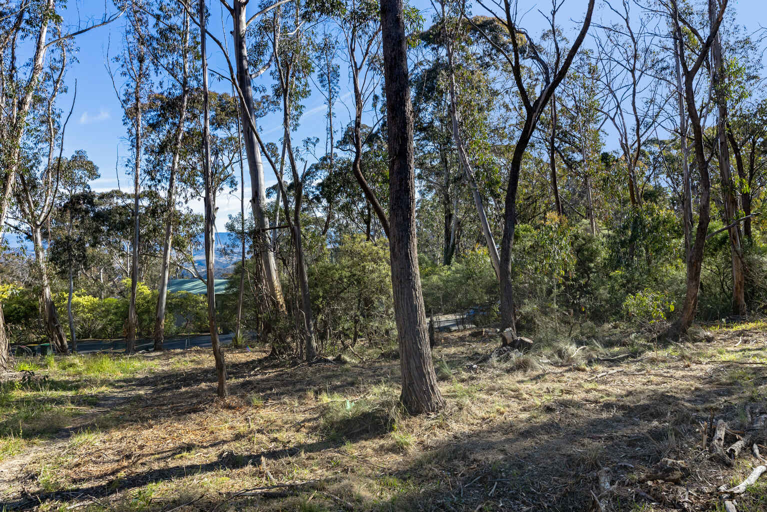 153 Victoria Street Mount Victoria 153 Victoria Street Mount Victoria