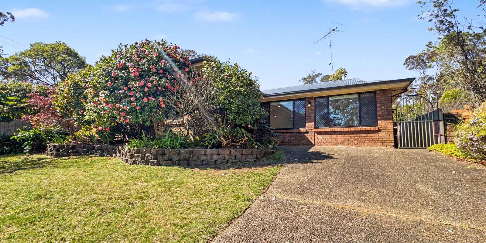 43 Mountbatten Street Blackheath 43 Mountbatten Street Blackheath