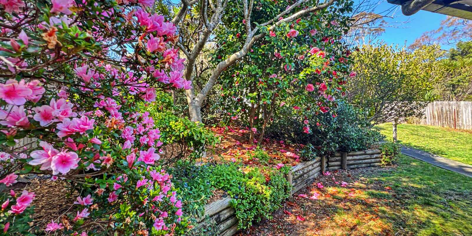 43 Mountbatten Street Blackheath 43 Mountbatten Street Blackheath