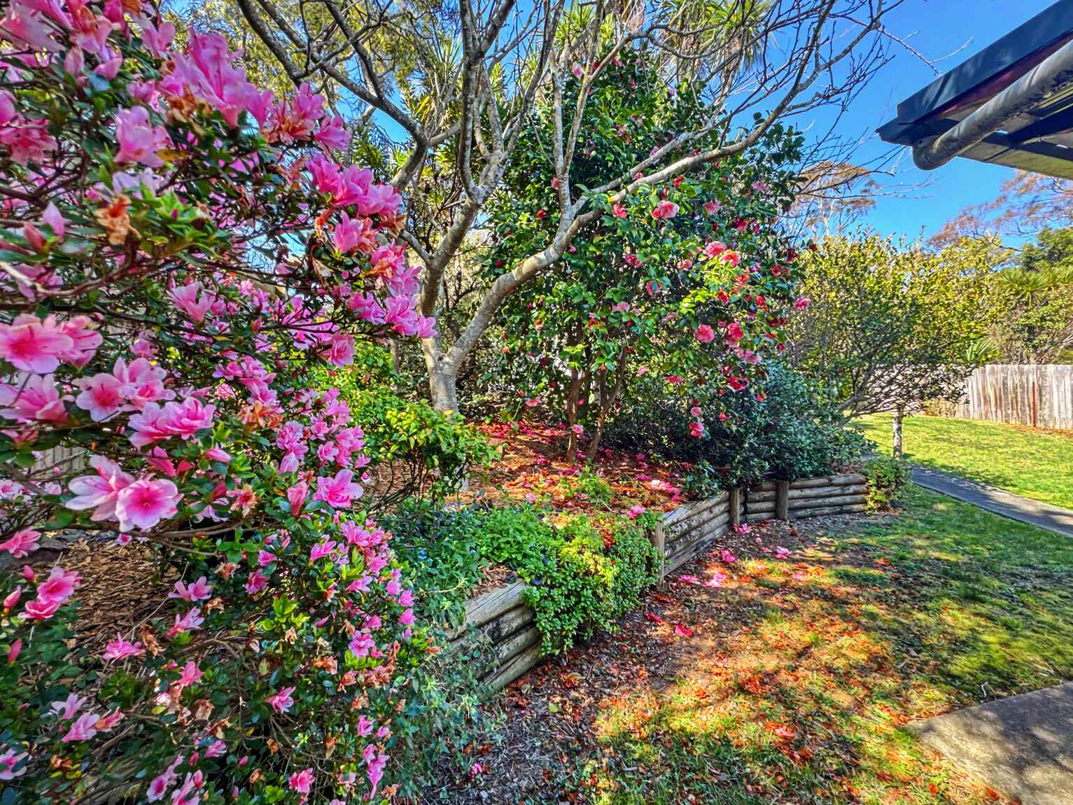 43 Mountbatten Street Blackheath 43 Mountbatten Street Blackheath