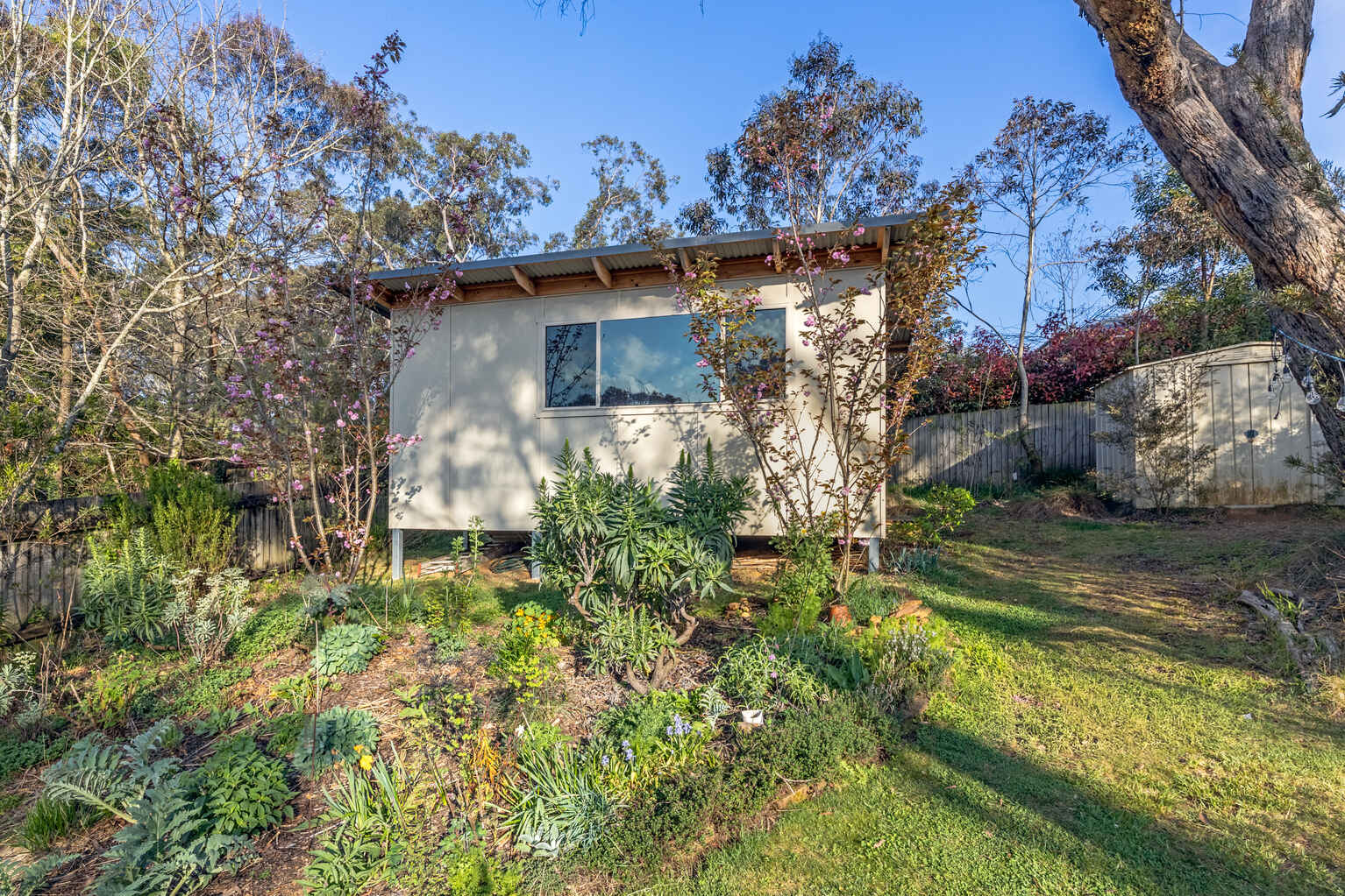 61 Godson Avenue Blackheath 61 Godson Avenue Blackheath