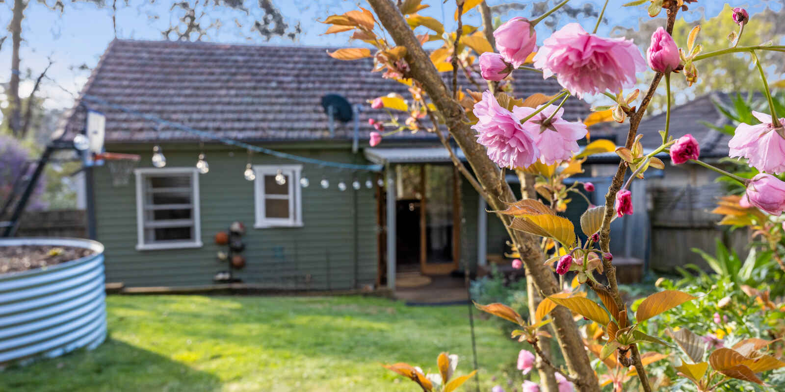 61 Godson Avenue Blackheath 61 Godson Avenue Blackheath