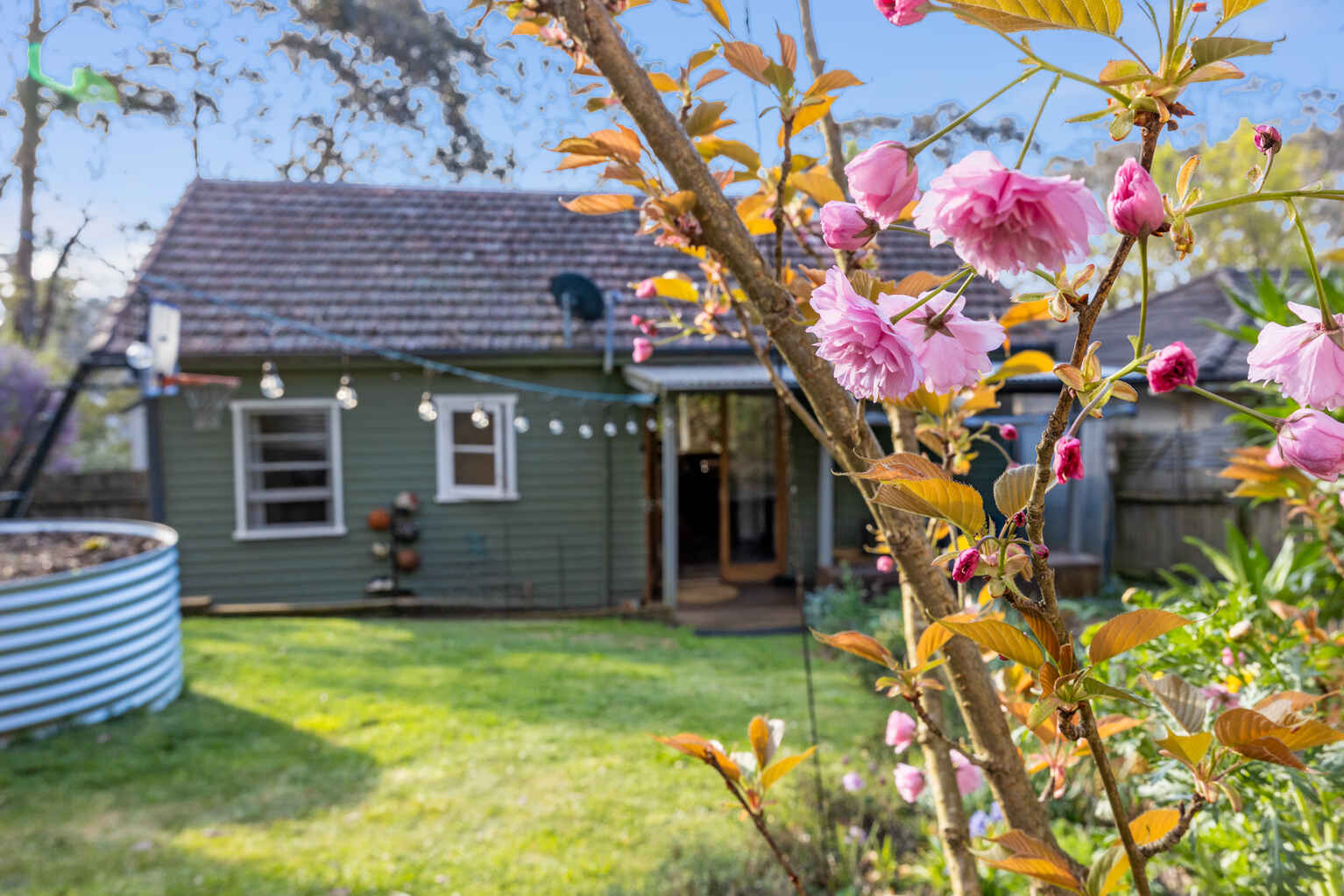 61 Godson Avenue Blackheath 61 Godson Avenue Blackheath