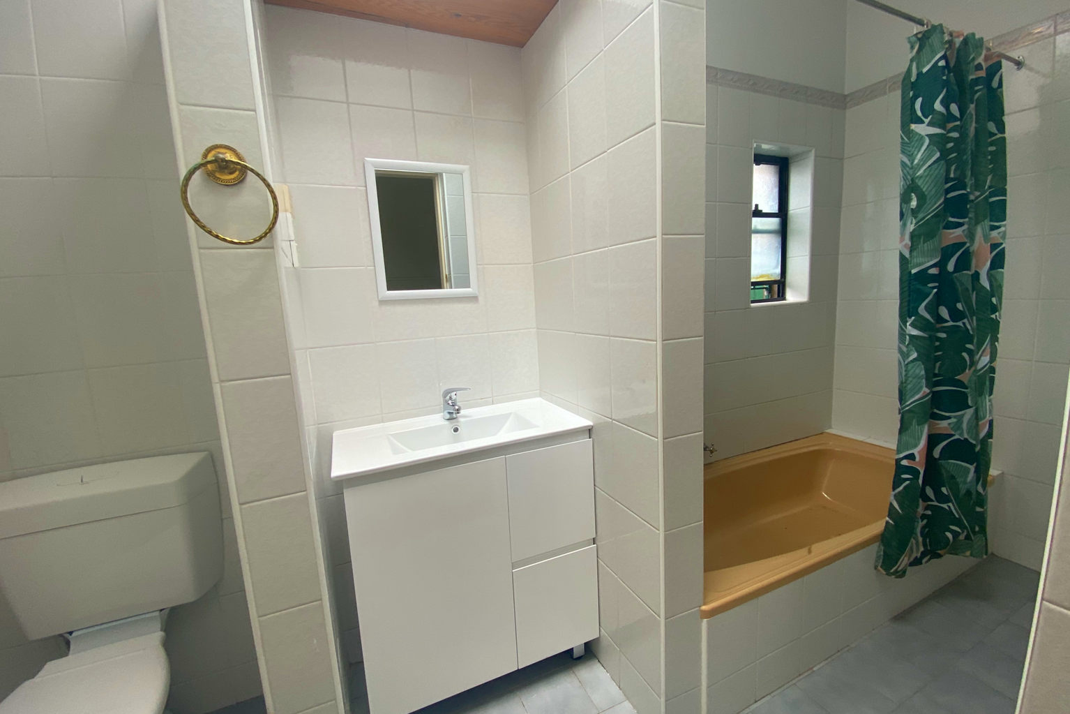 86 Despointes Street Marrickville