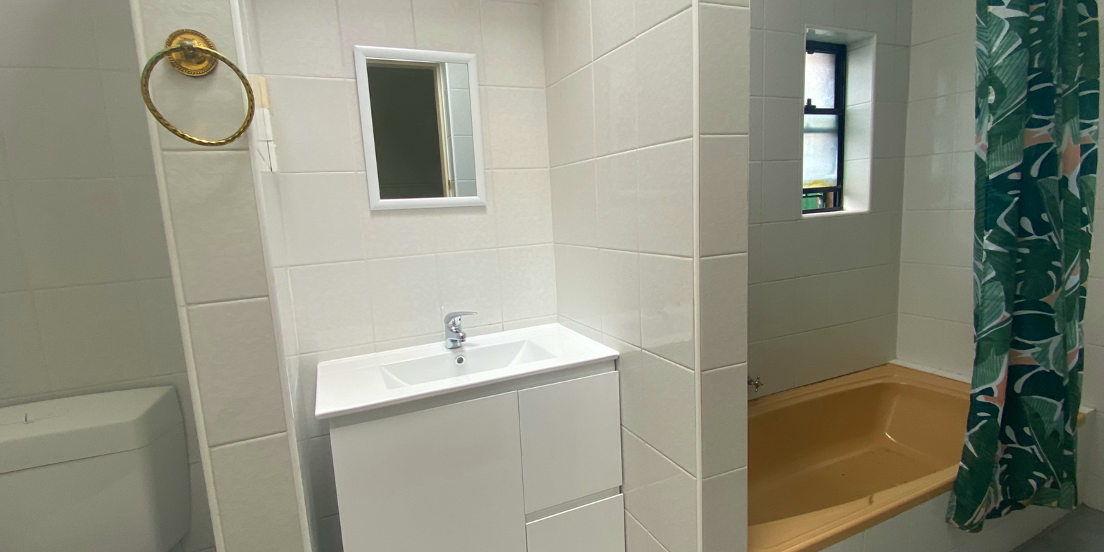 86 Despointes Street Marrickville