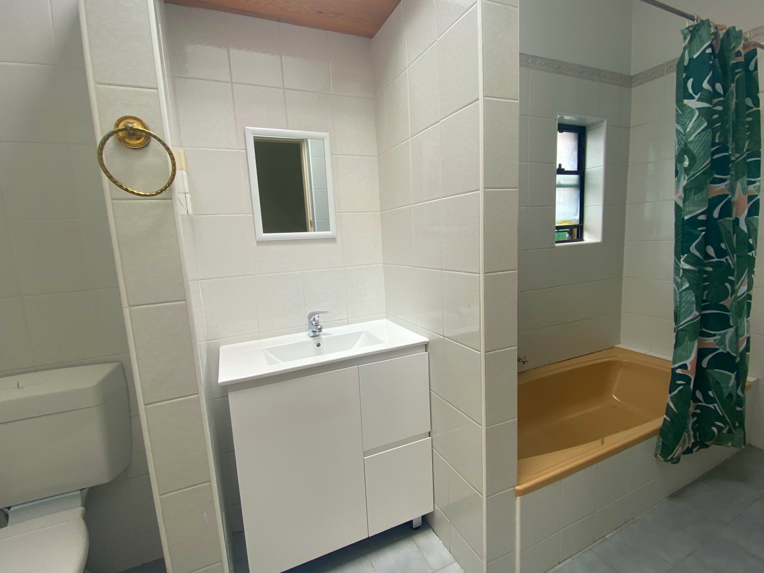 86 Despointes Street Marrickville