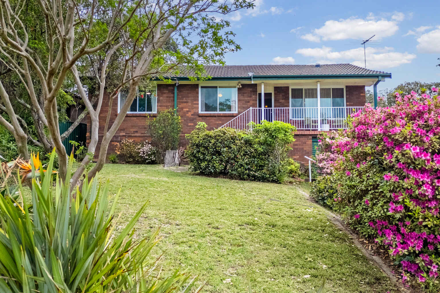 19 Judith Avenue Mount Riverview 19 Judith Avenue Mount Riverview