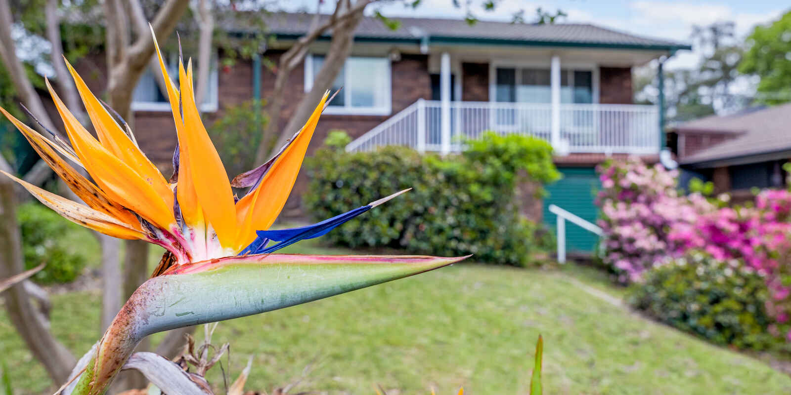 19 Judith Avenue Mount Riverview 19 Judith Avenue Mount Riverview