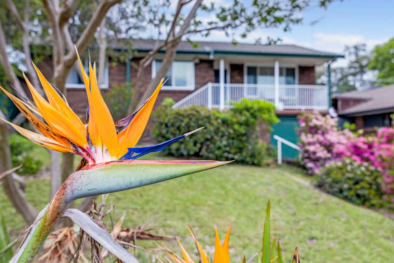 19 Judith Avenue Mount Riverview 19 Judith Avenue Mount Riverview