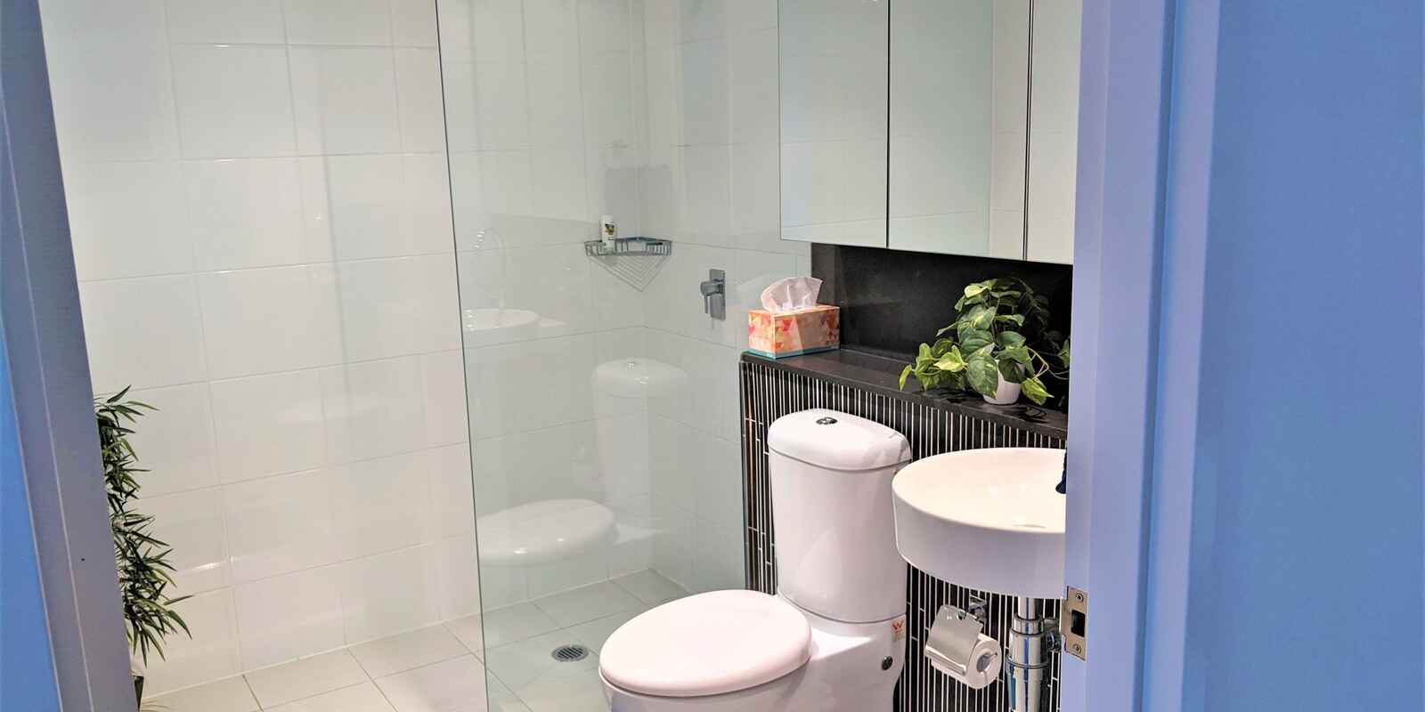 543/8 Ascot Avenue Zetland