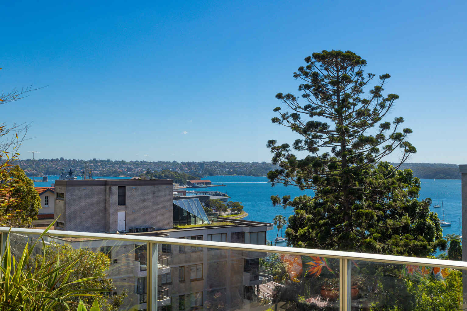 36/8 Greenknowe Avenue Elizabeth Bay 36/8 Greenknowe Avenue Elizabeth Bay
