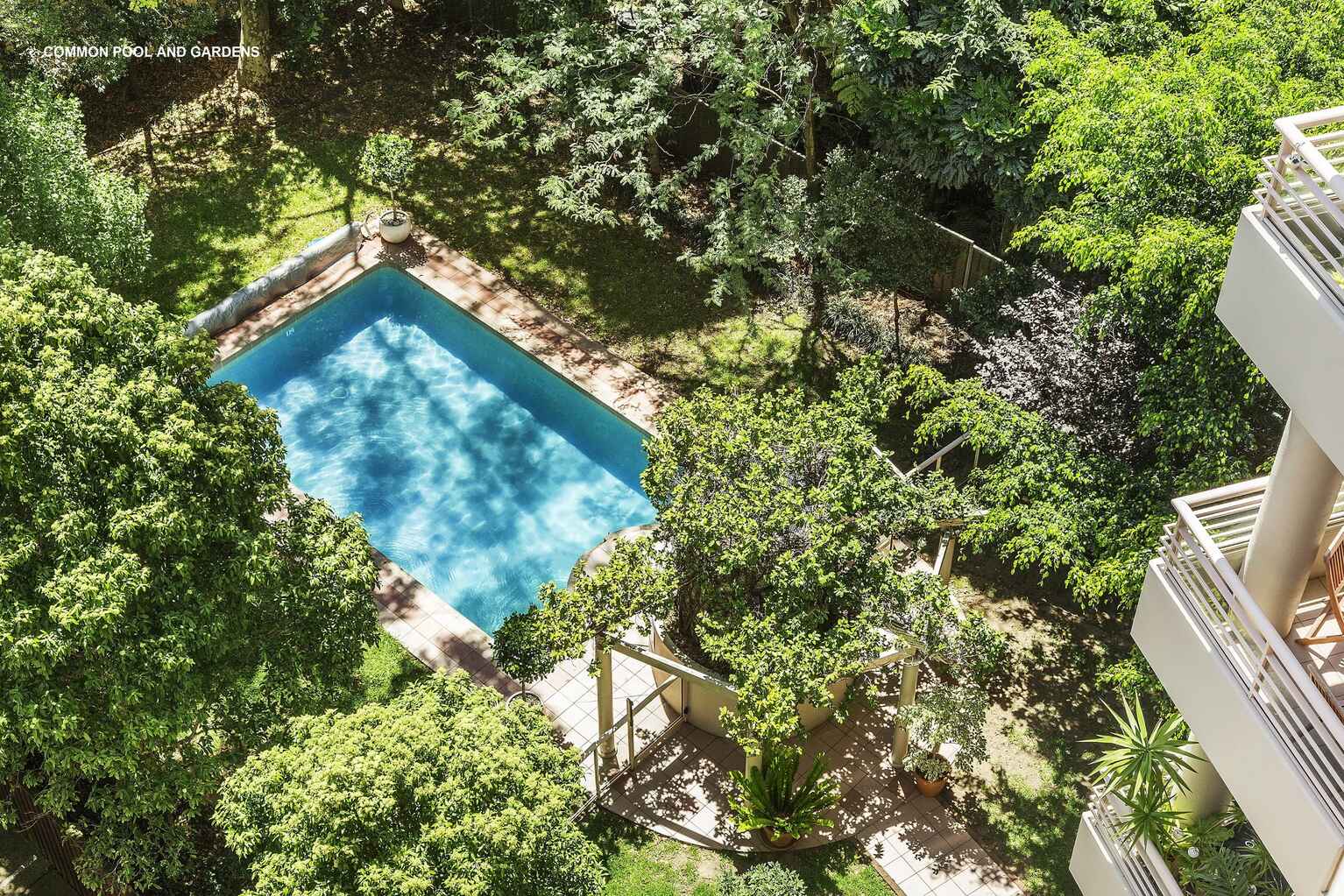 406/2-6 Birtley Place Elizabeth Bay 406/2-6 Birtley Place Elizabeth Bay