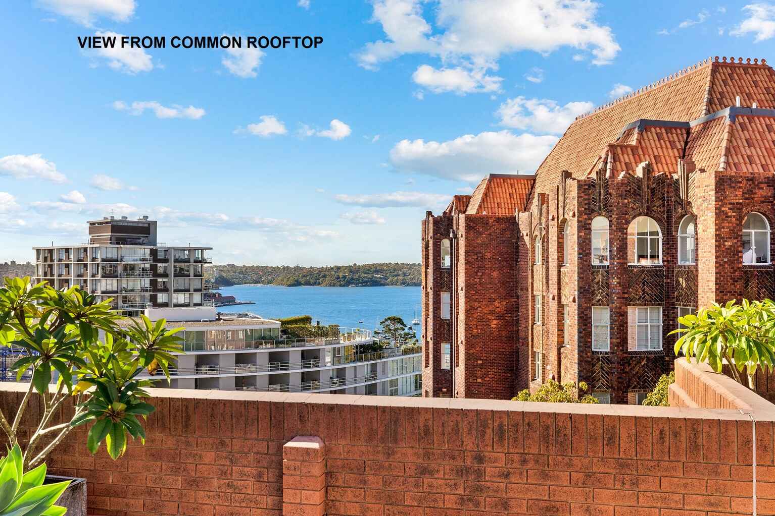 406/2-6 Birtley Place Elizabeth Bay 406/2-6 Birtley Place Elizabeth Bay