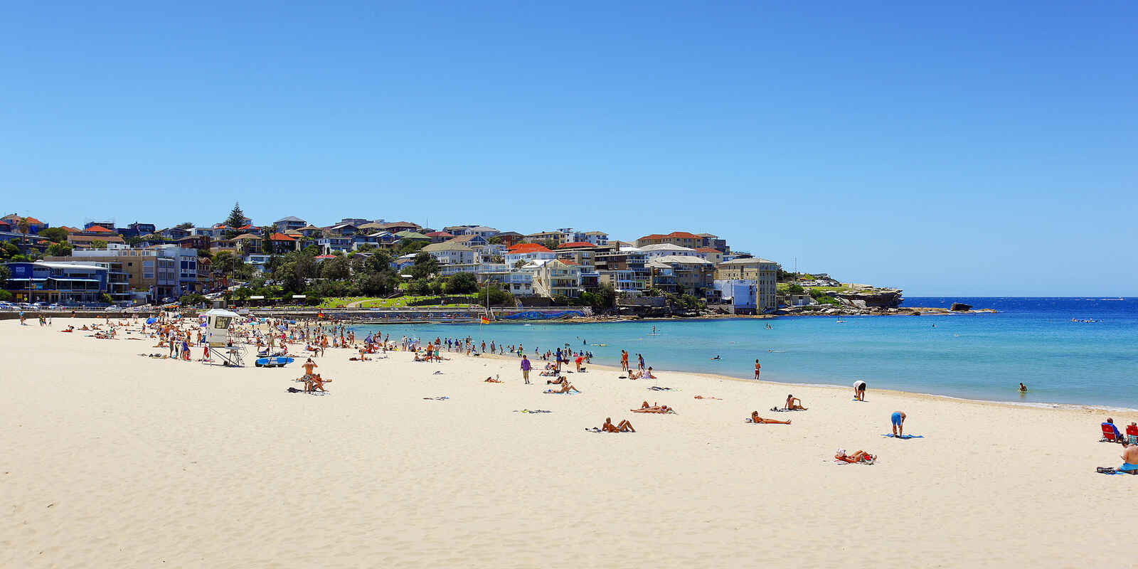 8/45 O'Brien Street Bondi Beach 8/45 O'Brien Street Bondi Beach