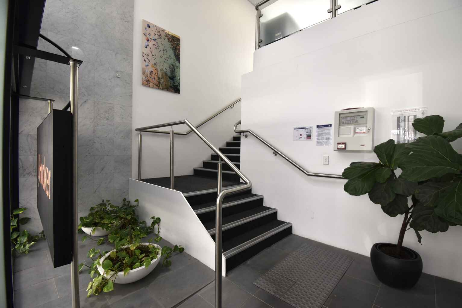 62 Spring Street Bondi Junction