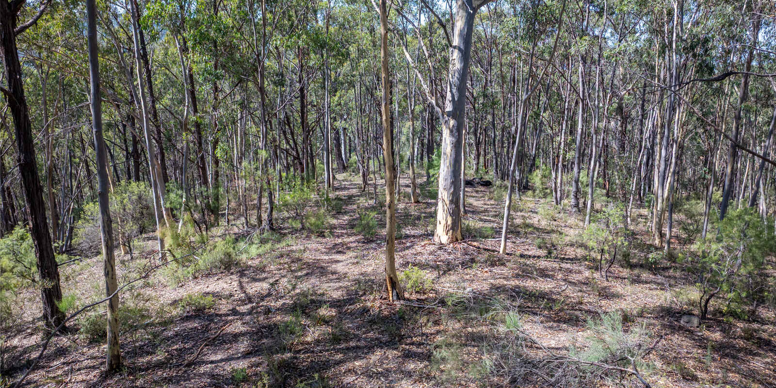 Lot 3422 Blackheath Creek Road Kanimbla Lot 3422 Blackheath Creek Road Kanimbla