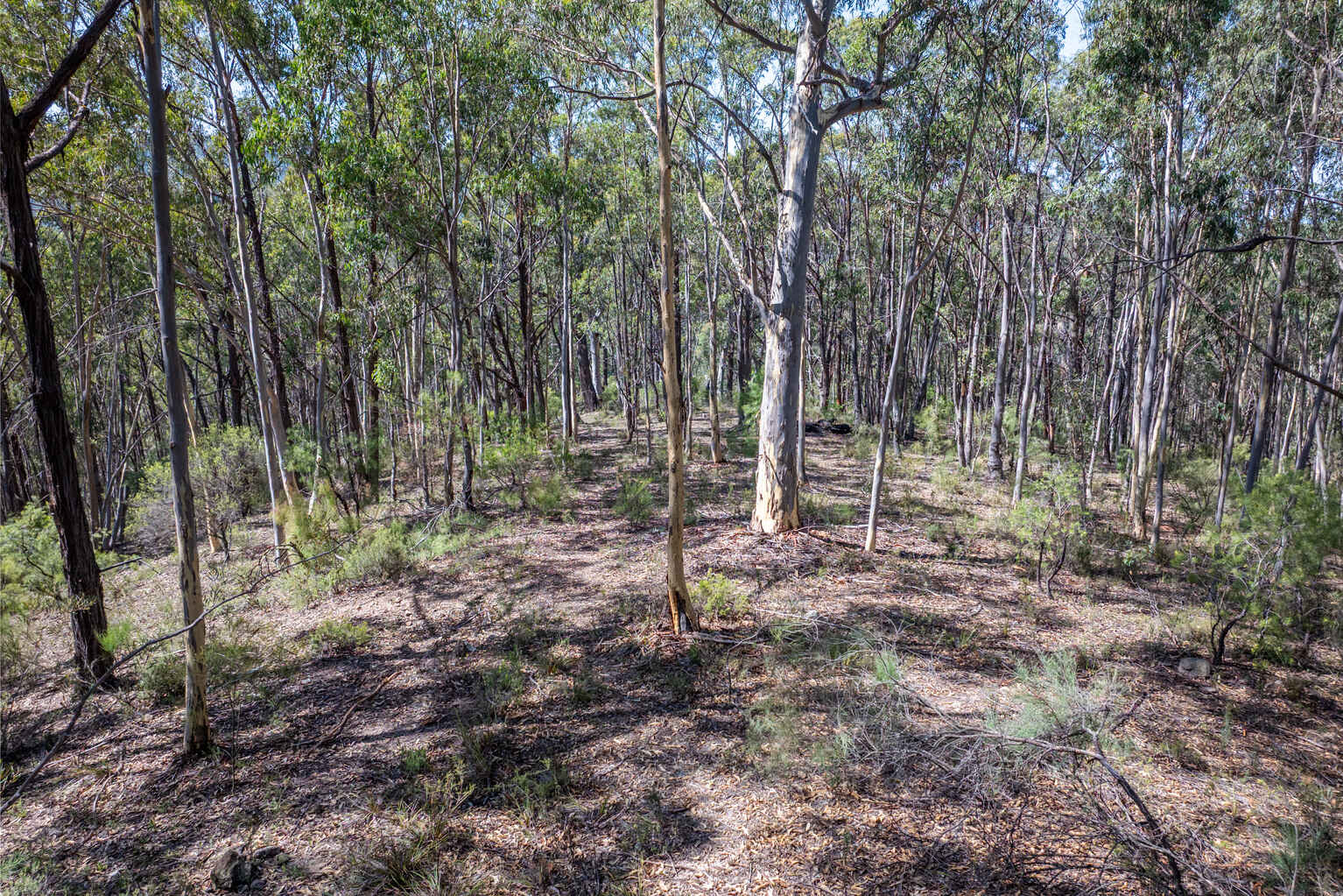 Lot 3422 Blackheath Creek Road Kanimbla Lot 3422 Blackheath Creek Road Kanimbla