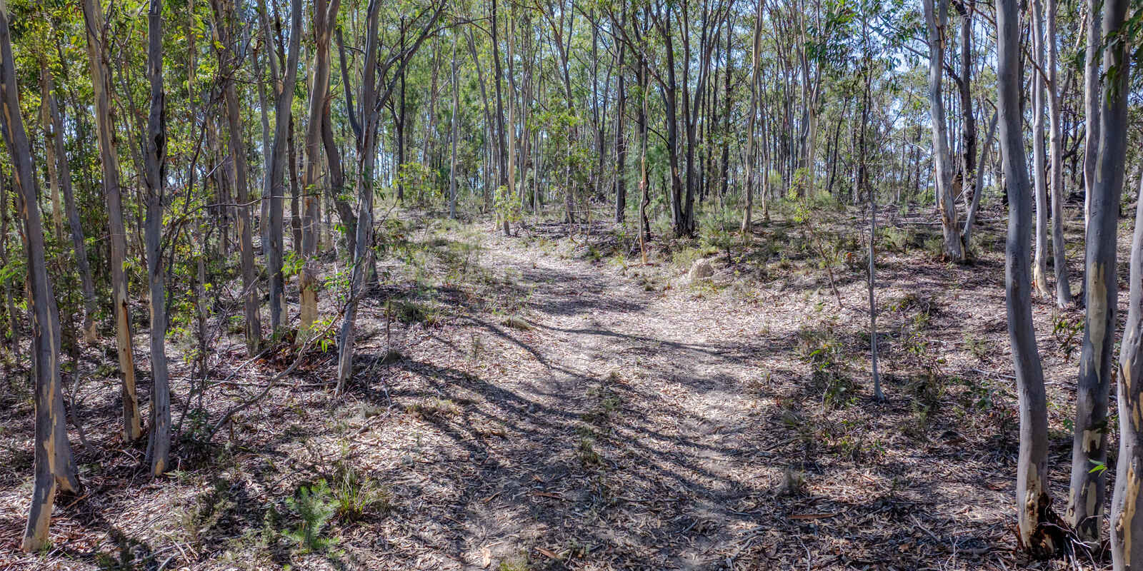 Lot 3422 Blackheath Creek Road Kanimbla Lot 3422 Blackheath Creek Road Kanimbla