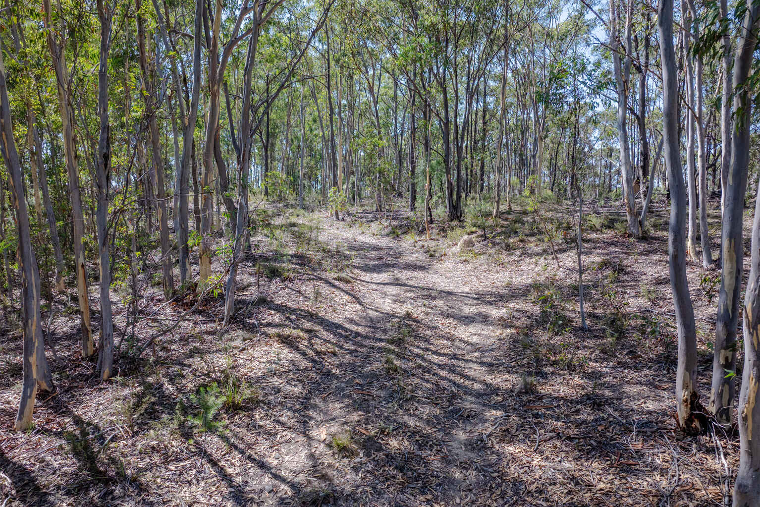 Lot 3422 Blackheath Creek Road Kanimbla Lot 3422 Blackheath Creek Road Kanimbla
