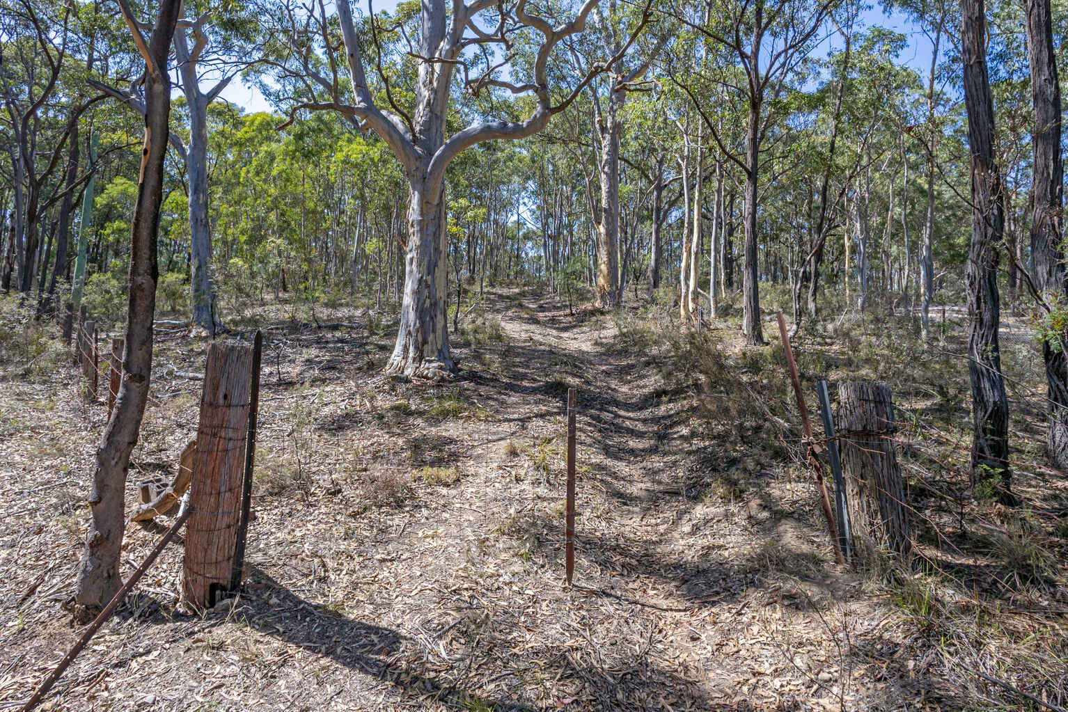 Lot 3422 Blackheath Creek Road Kanimbla Lot 3422 Blackheath Creek Road Kanimbla