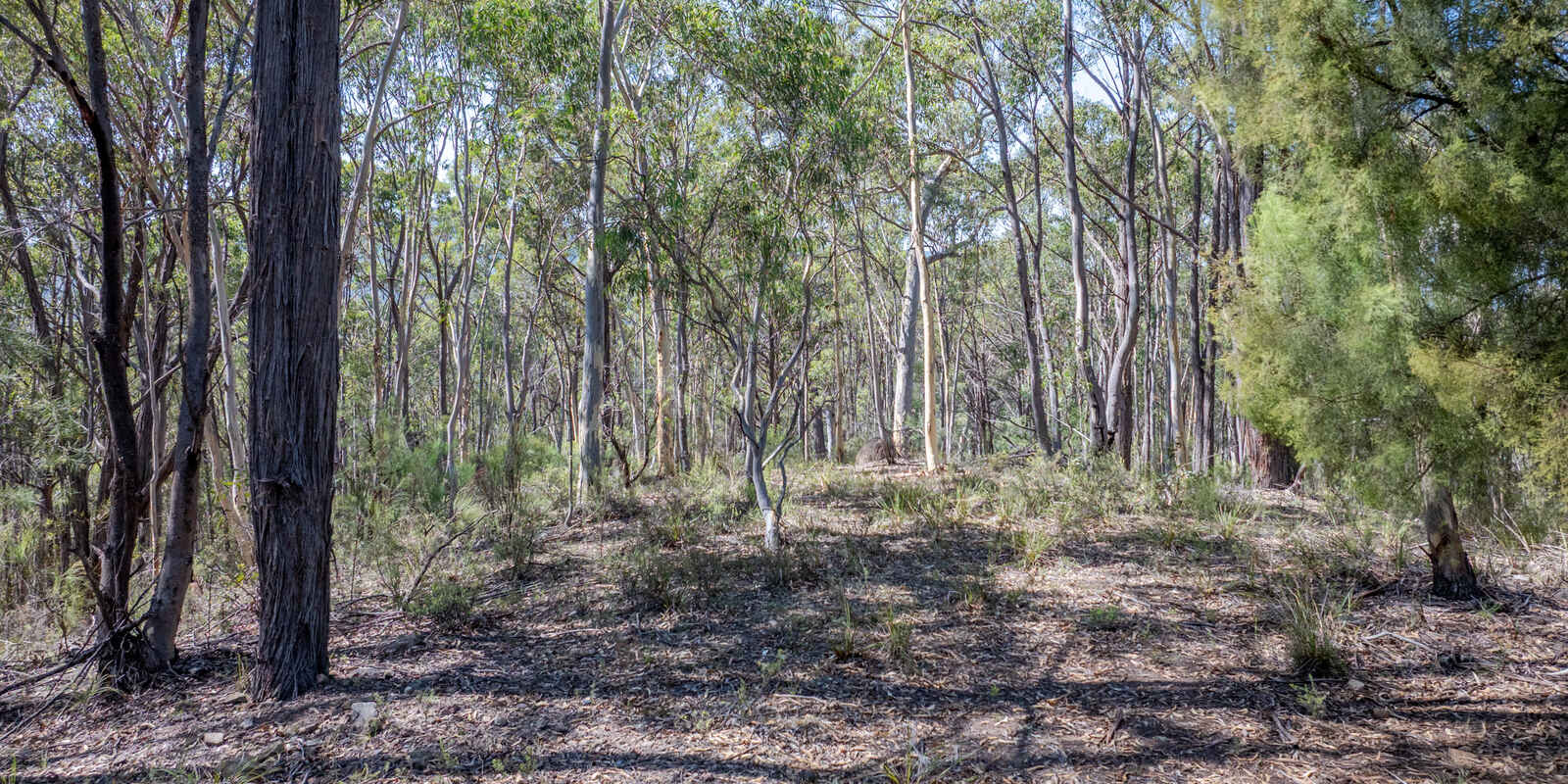 Lot 3422 Blackheath Creek Road Kanimbla Lot 3422 Blackheath Creek Road Kanimbla