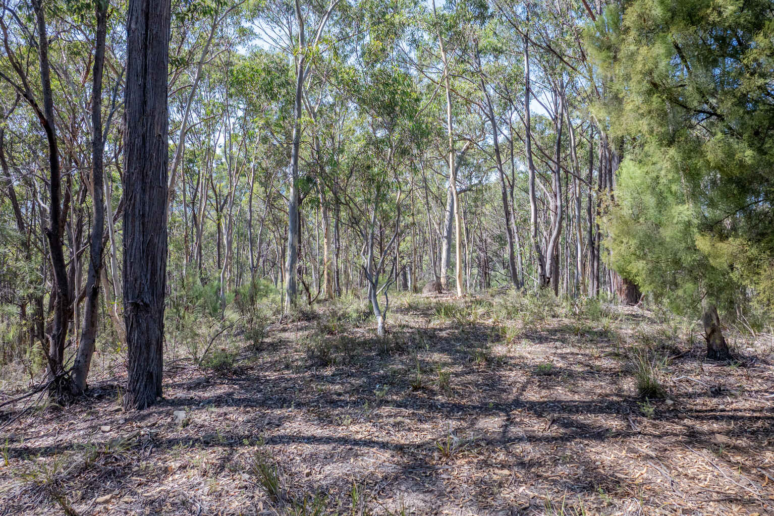 Lot 3422 Blackheath Creek Road Kanimbla Lot 3422 Blackheath Creek Road Kanimbla