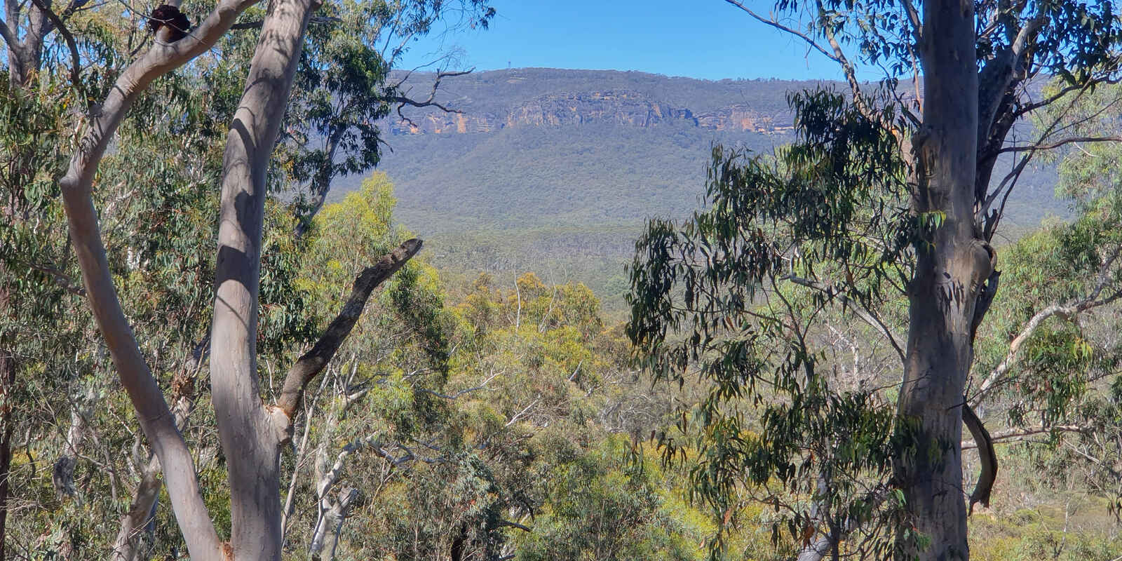 Lot 3422 Blackheath Creek Road Kanimbla Lot 3422 Blackheath Creek Road Kanimbla